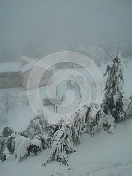 Powerful and beautiful snow - ALGERIA