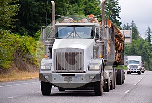 Powerful big rig semi truck transporting logs in front of trucks