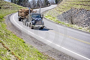 Powerful black day cab big rig semi truck transporting wood logs on the semi trailer running on the winding mountain highway road