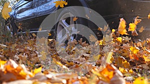 Powerful car driving fast through alley over yellow leaves at park. Colorful autumn foliage flies out from under wheel