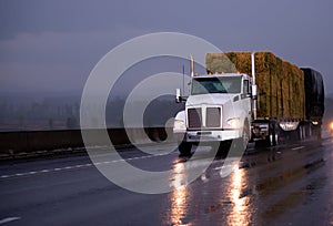 Powerful day cab big rig semi truck transporting pressed hay on