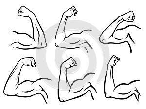 Powerful hand muscle. Strong arm muscles, hard biceps and hands strength outline vector illustration set photo