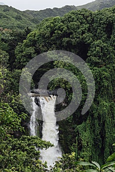 Powerful Makahiku falls along the road to Hana on Maui