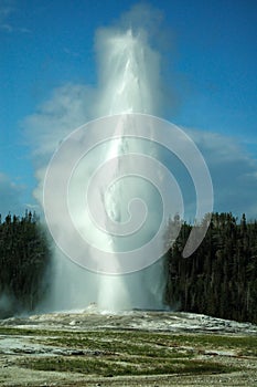 Powerful old faithful geyser