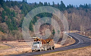 Powerful semi truck with a trailer carrying logs