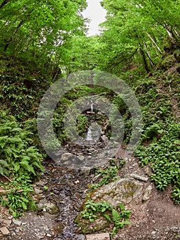 Powerful stream in summer forest. Waterfall in the forest