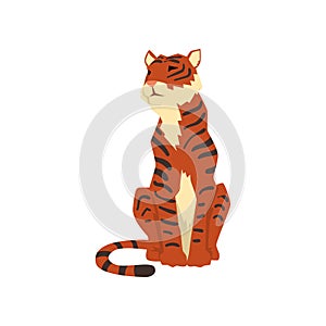 Powerful tiger sitting, front view, wild cat, predator cartoon vector Illustration on a white background