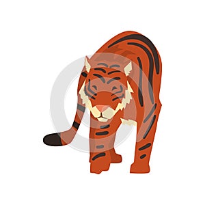 Powerful tiger, wild cat, predator cartoon vector Illustration on a white background