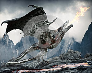 A powerful Wyvern Dragon showing his force near his territory .