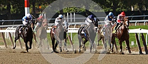 Powering Down the Homestretch