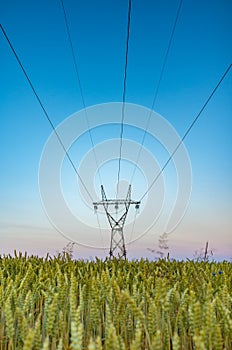 The powerline on the field