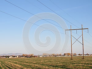 Powerline in field on road