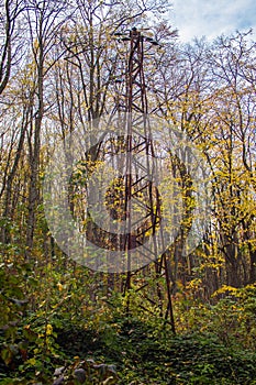 Powerline in the forest. Old style steel pole, rusted. Autumn. 02