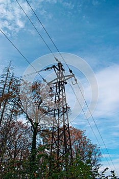 Powerline in the forest. Old style steel pole, rusted. Autumn. 05