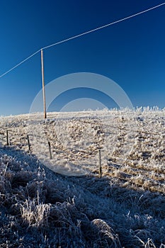 Powerline Hoarfrost