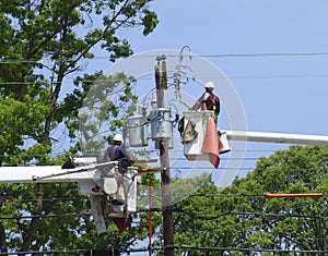 Powerline Maintenance
