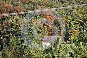 Powerline over a hose in the colorful trees