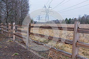 Powerline through the shrubbery