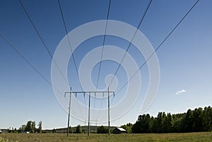 Powerline in Sweden photo