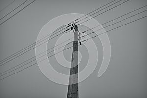 Powerline tower in monochrome