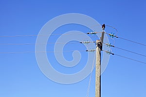 Powerline under blue sky