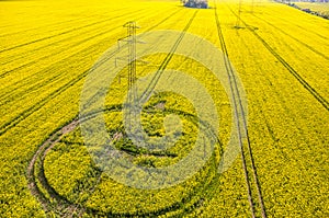 Powerlines on colza field