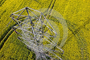 Powerlines on colza field