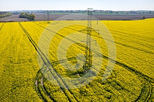 Powerlines on colza field