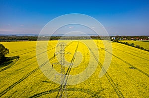 Powerlines on colza field