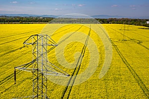 Powerlines on colza field