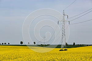 Powerlines on field