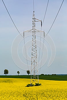 Powerlines on field