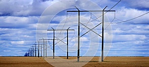 Powerlines in Field with Blue Sky and Clouds photo