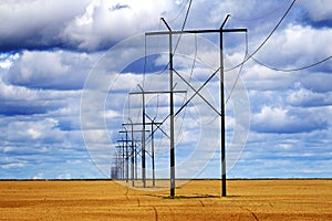 Powerlines in Field with Blue Sky and Clouds photo