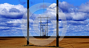 Powerlines in Field with Blue Sky and Clouds photo