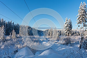 Powerlines and a small countryside road in winter