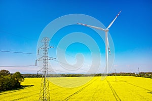 Powerlines and windmill on colza field