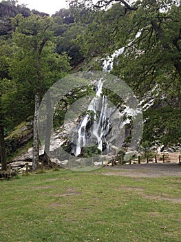 Powerscourt waterfall