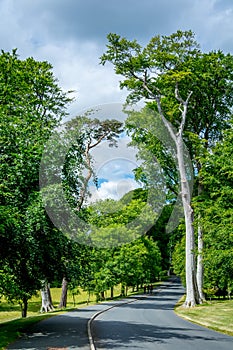 Powerscourt, Wicklow county