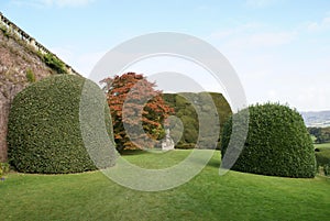 Powis castle garden in England