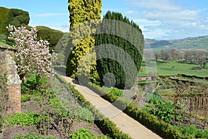 Powis castle garden