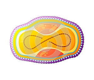 Poxviridae Color Virus Composition photo