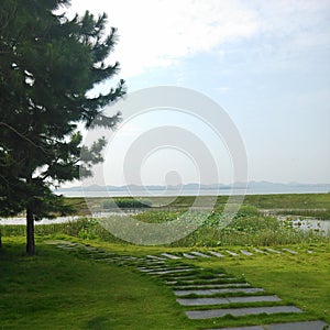 Poyang lake