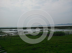 The poyang lake