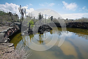 Poza redonda lagoon in Isabela island