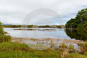 Poza redonda lagoon in Isabela island, Galapagos, Ecuador