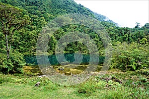 Pozo Verde and cloud forest in Juan Castro Blanco National Park photo