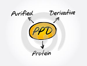 PPD - Purified Protein Derivative acronym, medical concept photo