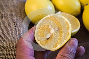 PPhotos of lemon with knife on wooden floors, hand-cut half a lemon, dividing a lemon into two equal parts, cutting fresh lemon wi photo