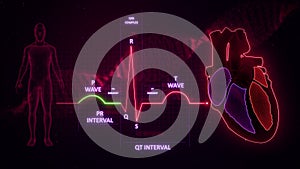 PR Interval of Electrocardiogram Wave or ECG or EKG